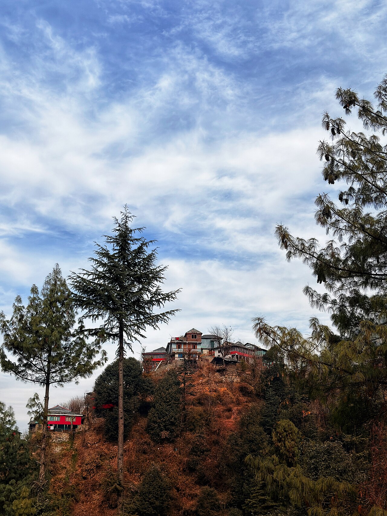 Hillside houses framed by trees in Jibhi